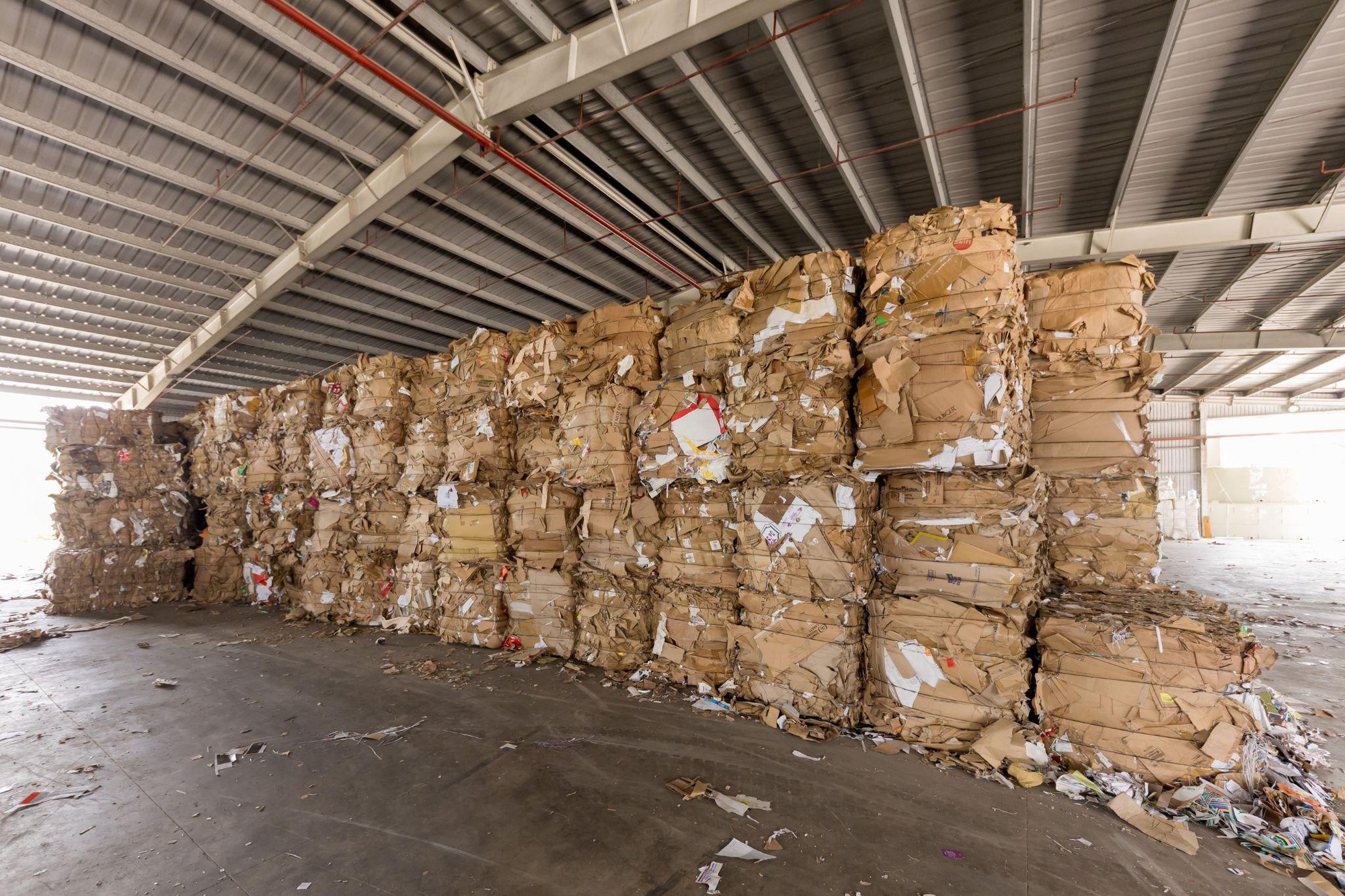 Tưởng đống giấy lộn, ai ngờ lại là 