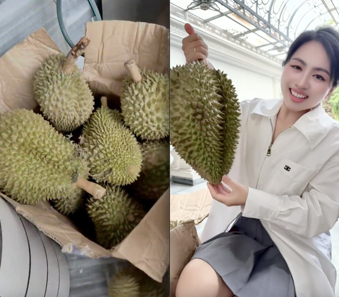 Số phận vườn sầu ri&ecirc;ng nh&agrave; Mailisa- Ảnh 2.