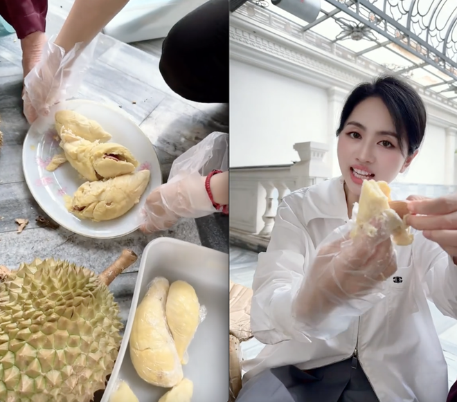 Số phận vườn sầu ri&ecirc;ng nh&agrave; Mailisa- Ảnh 3.