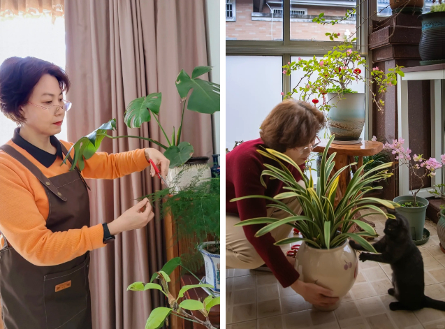 Người phụ nữ U60 tỉnh ngộ: Cứ lao đầu kiếm tiền đi, rồi chỉ để nộp viện phí, hãy kiếm 4 thứ này để đổi lấy bình yên!- Ảnh 2.