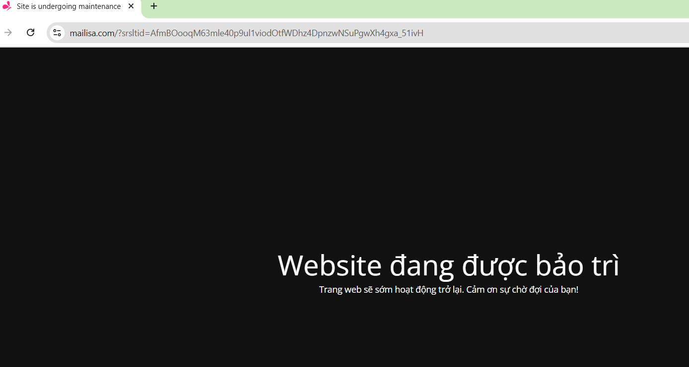 Diễn biến mới về chuỗi thẩm mỹ viện Mailisa- Ảnh 1.