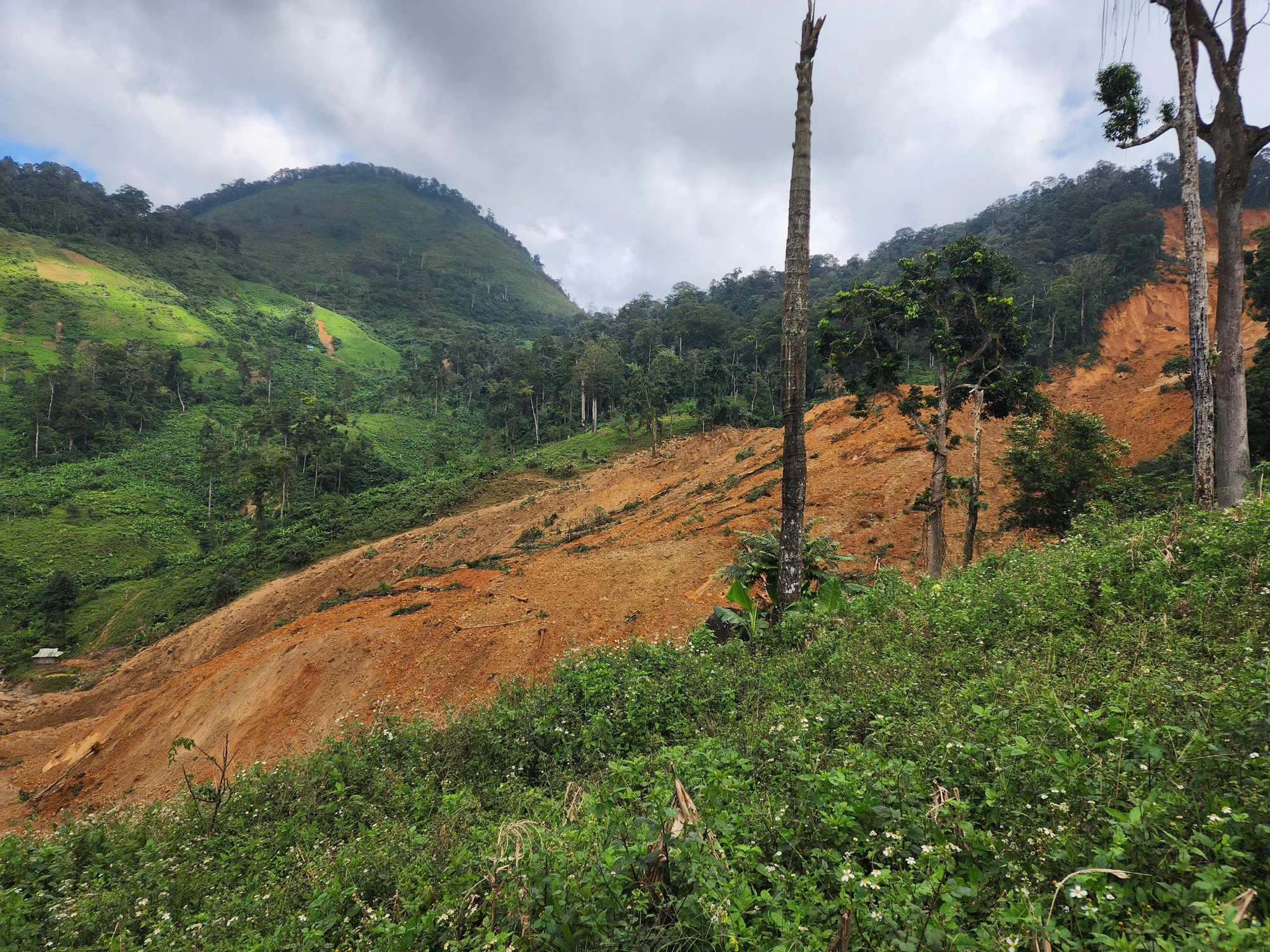 Sạt lở kinh hoàng ở vùng cao Đà Nẵng, 7 người mất liên lạc- Ảnh 2. Sạt lở kinh hoàng ở vùng cao Đà Nẵng, 7 người mất liên lạc- Ảnh 2.