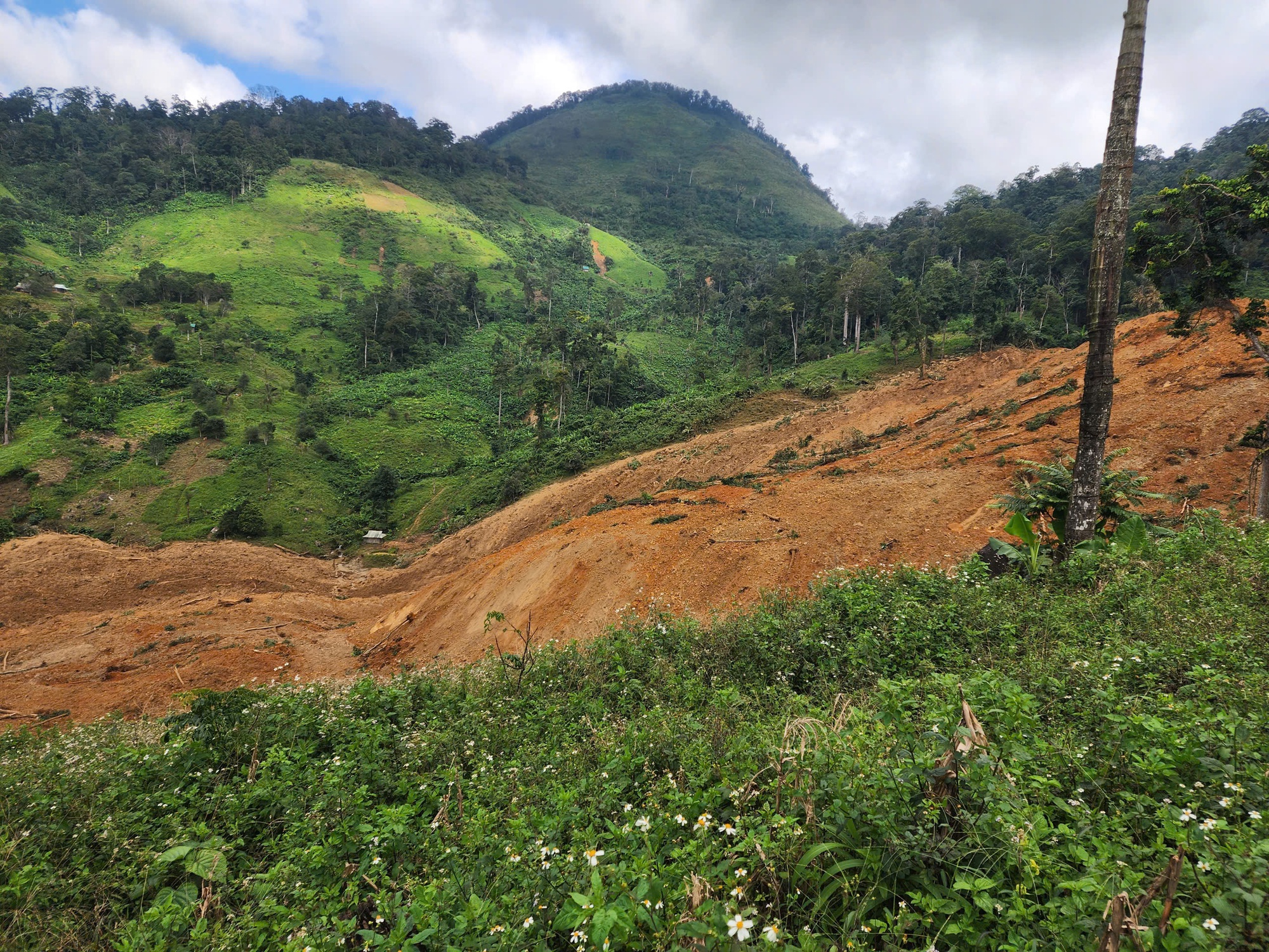 Sạt lở kinh hoàng ở vùng cao Đà Nẵng, 7 người mất liên lạc- Ảnh 1. Sạt lở kinh hoàng ở vùng cao Đà Nẵng, 7 người mất liên lạc- Ảnh 1.