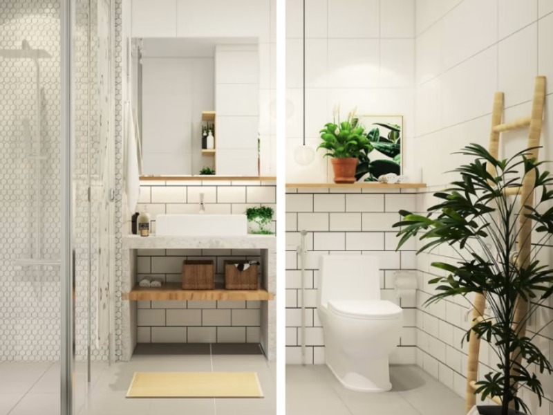 6 góc trong nhà rắn thích chui vào nhất- Ảnh 2.