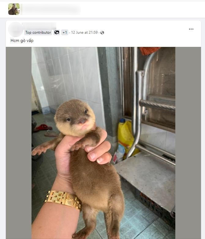 Bức Ảnh Có Thể Khiến Tài Khoản Zalo Của Nhiều Người Bị Khóa Vĩnh Viễn Image Copy 1763216433277 17632164343411321271299