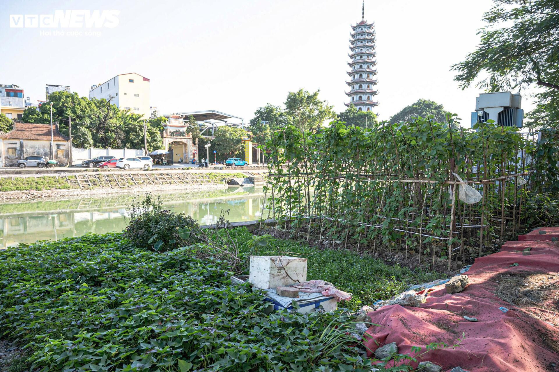 S&ocirc;ng T&ocirc; Lịch nh&igrave;n từ tr&ecirc;n cao trước khi 'lột x&aacute;c' th&agrave;nh c&ocirc;ng vi&ecirc;n xanh- Ảnh 10.