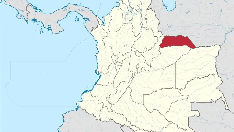 Không quân Colombia tiến hành không kích gần biên giới Venezuela- Ảnh 2.