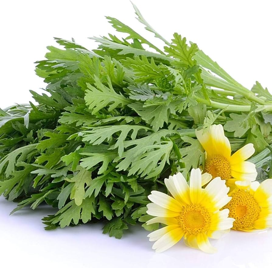 Loại rau người Trung Quốc ví là Loại rau người Trung Quốc ví là