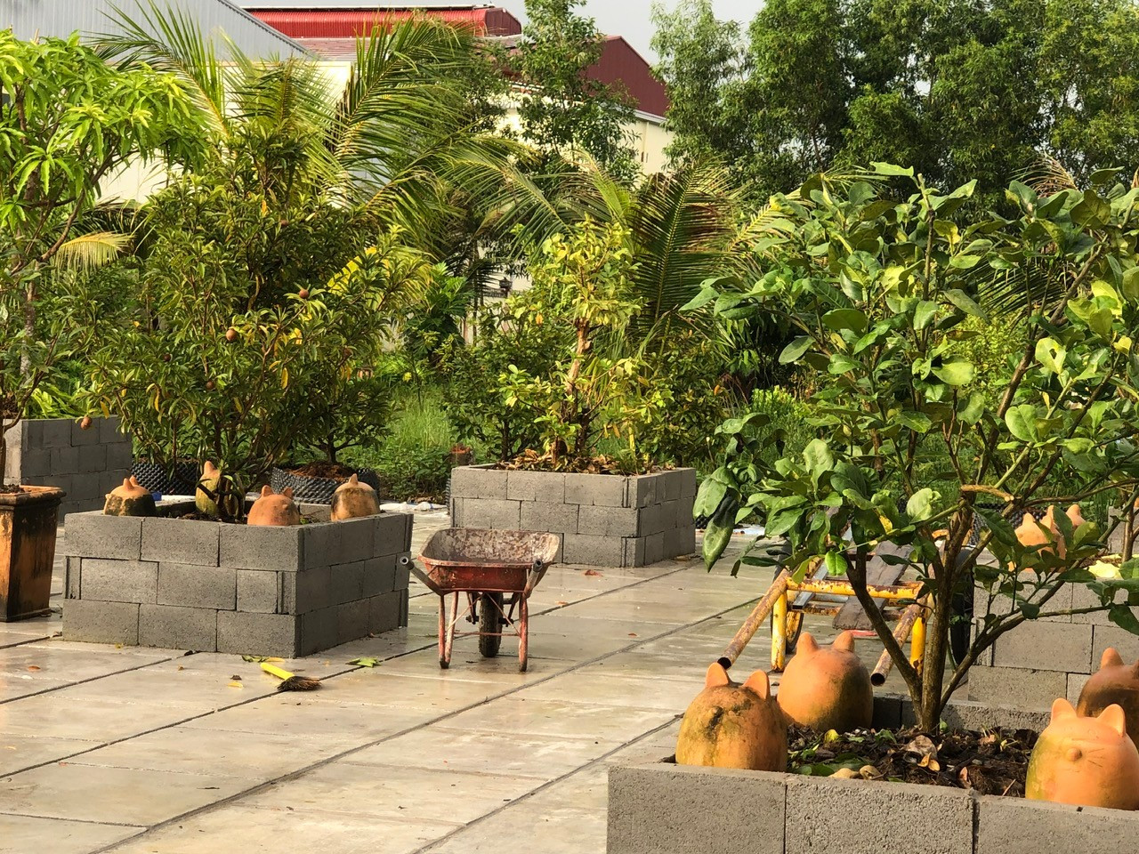 Giám đốc hãng phim Tây Nam phải nộp lại hơn một nghìn đồng thu lợi bất chính- Ảnh 1.