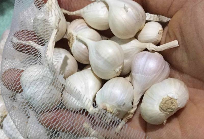 ĐỪNG bao giờ cho 5 thứ này vào tủ lạnh nếu không muốn ăn phải độc tố- Ảnh 3. ĐỪNG bao giờ cho 5 thứ này vào tủ lạnh nếu không muốn ăn phải độc tố- Ảnh 3.