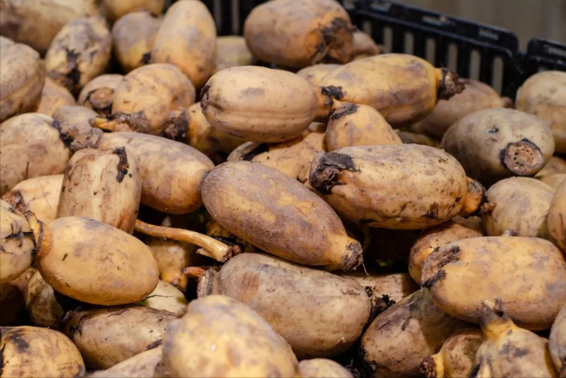 Mùa này đừng mua tùy tiện, 5 loại rau ít dinh dưỡng lại hại sức khỏe, ngay cả người bán cũng không dám ăn- Ảnh 4.