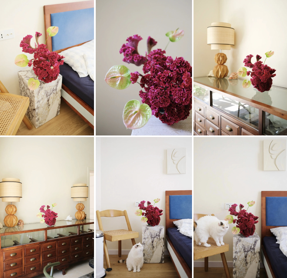 Hoa mào gà: Tưởng quê mùa mà cắm lên lại sang rực rỡ, chơi Tết đẹp mê và hút phú quý vào nhà- Ảnh 4.