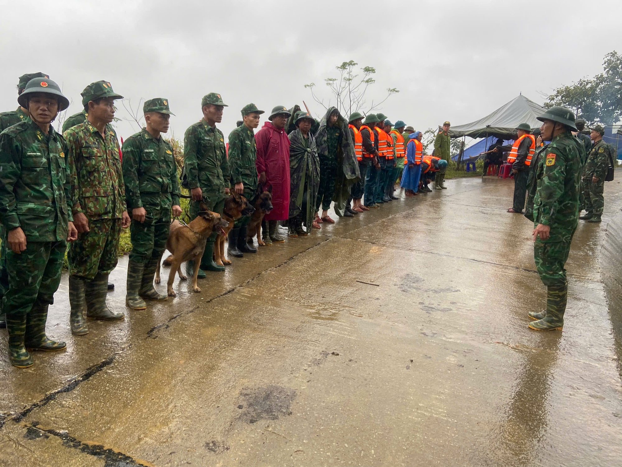 Hình ảnh chó nghiệp vụ tìm kiếm nạn nhân bị lở núi ở Đà Nẵng- Ảnh 5. Hình ảnh chó nghiệp vụ tìm kiếm nạn nhân bị lở núi ở Đà Nẵng- Ảnh 5.