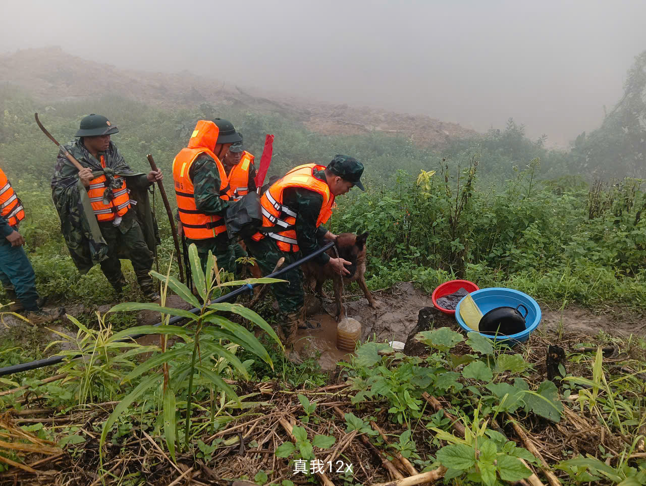 Hình ảnh chó nghiệp vụ tìm kiếm nạn nhân bị lở núi ở Đà Nẵng- Ảnh 8. Hình ảnh chó nghiệp vụ tìm kiếm nạn nhân bị lở núi ở Đà Nẵng- Ảnh 8.