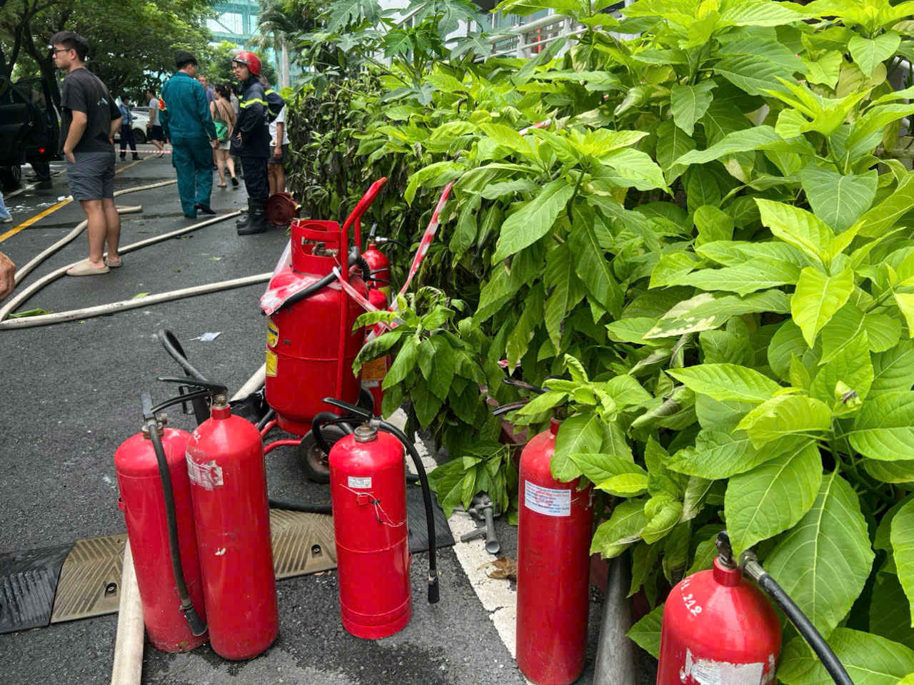 Hiện trường vụ cháy rụi ô tô ở khu Thảo Điền, TPHCM- Ảnh 2.