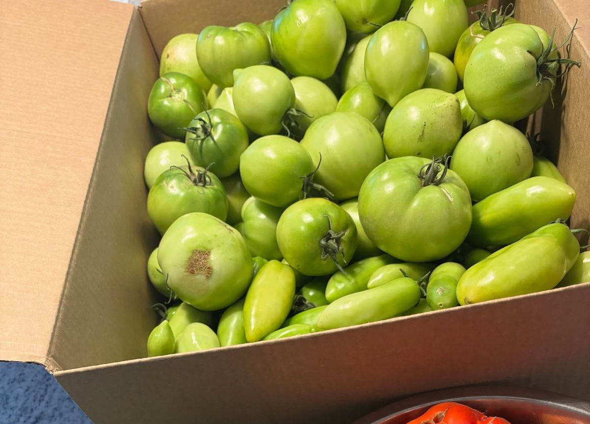 Đã đến lúc TỰ CỨU LẤY GAN bằng cách NGỪNG ĂN 5 loại rau củ quen nhưng cực hại- Ảnh 1.