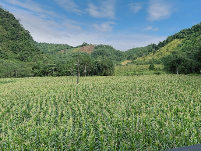 Cặp vợ chồng chi 3 tỷ x&acirc;y nh&agrave; như cổ t&iacute;ch tr&ecirc;n v&ugrave;ng n&uacute;i Tuy&ecirc;n Quang: View triệu đ&ocirc;, 0 đồng rau củ- Ảnh 19.