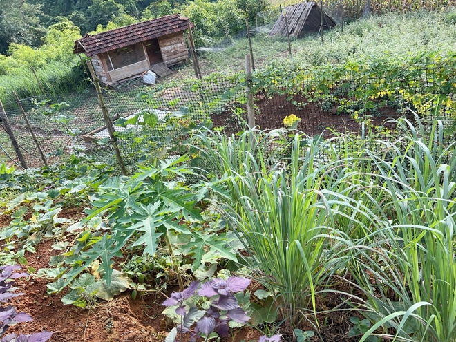 Cặp vợ chồng chi 3 tỷ x&acirc;y nh&agrave; như cổ t&iacute;ch tr&ecirc;n v&ugrave;ng n&uacute;i Tuy&ecirc;n Quang: View triệu đ&ocirc;, 0 đồng rau củ- Ảnh 16.