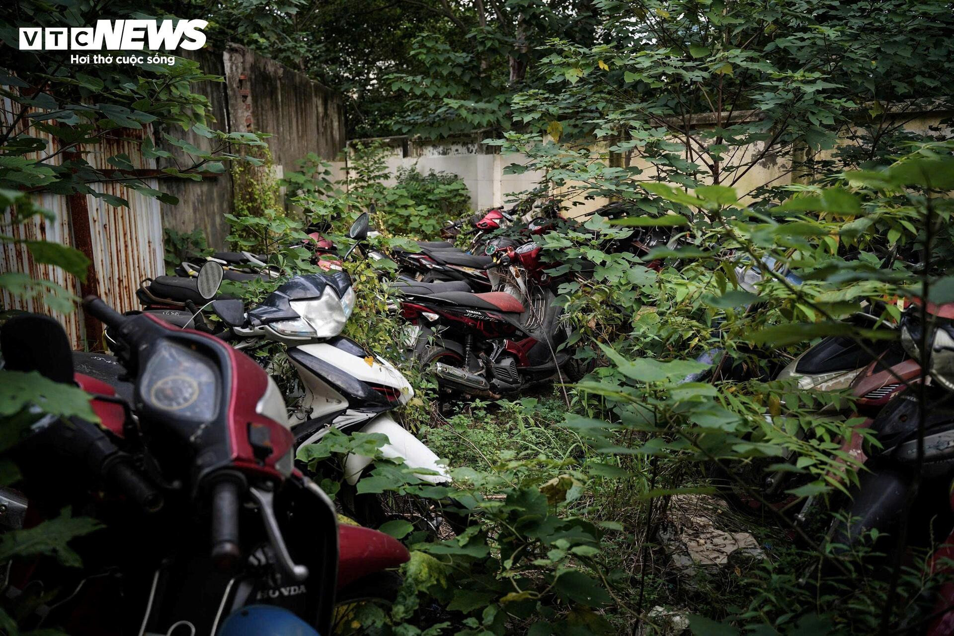 Cận cảnh hàng nghìn phương tiện chất đống trong 'nghĩa địa' xe vi phạm ở Hà Nội- Ảnh 9.