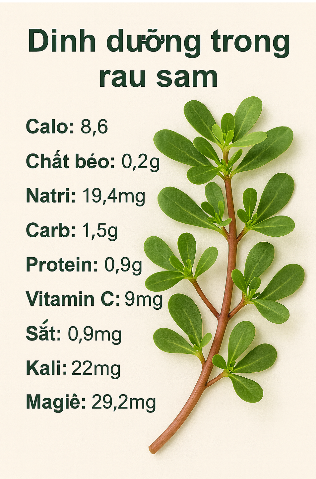 Loại rau người Trung Quốc coi l&agrave; "rau trường thọ": Mọc đầy Việt Nam nhưng hay bị nhổ bỏ- Ảnh 2.