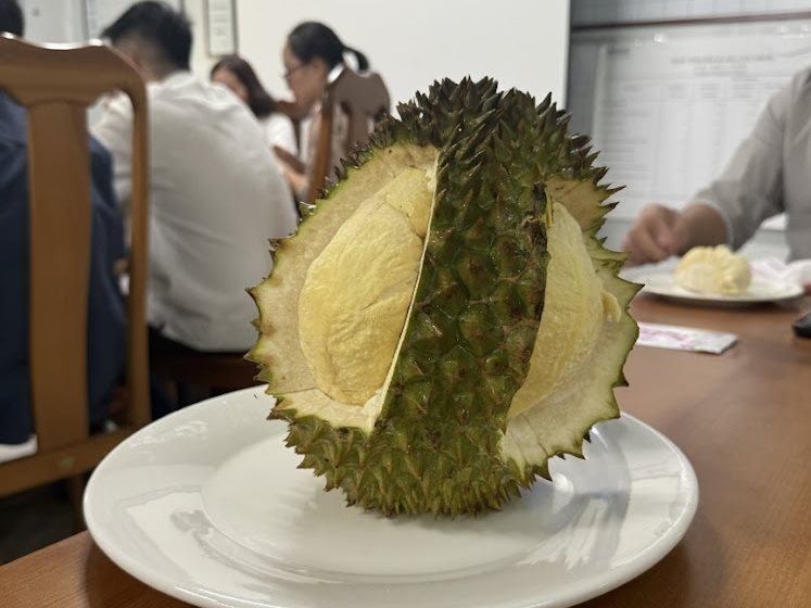 Xuất khẩu sầu riêng Việt từng sụt 69,4% vì rào cản Cadimi, Bầu Đức lộ 'át chủ bài': 1.600 ha ở Lào và kho lạnh 20.000 m² làm sầu riêng cấp đông chờ bán trái vụ giá cao hơn 50%- Ảnh 3.