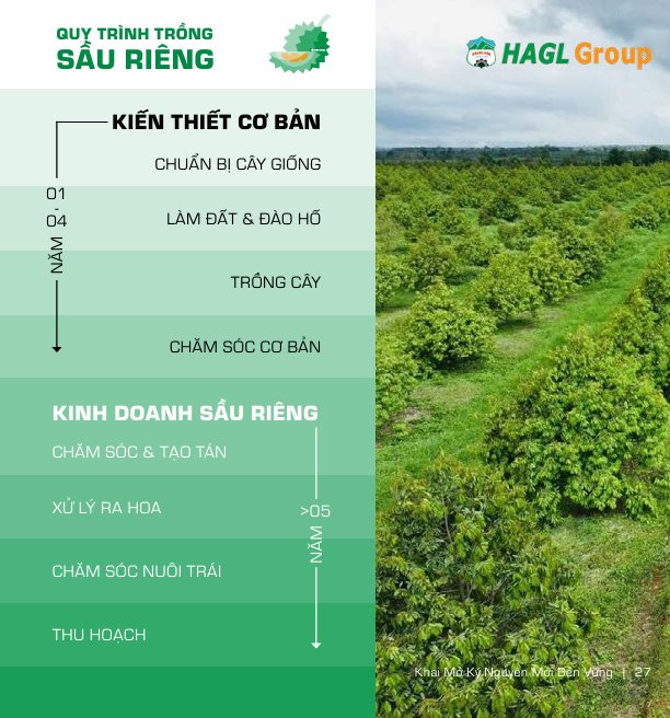 Xuất khẩu sầu riêng Việt từng sụt 69,4% vì rào cản Cadimi, Bầu Đức lộ 'át chủ bài': 1.600 ha ở Lào và kho lạnh 20.000 m² làm sầu riêng cấp đông chờ bán trái vụ giá cao hơn 50%- Ảnh 2.