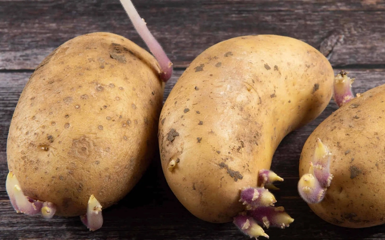 Sai lầm ai cũng mắc: Kh&ocirc;ng phải thức ăn thừa m&agrave; 5 loại thực phẩm n&agrave;y mới l&agrave; "kẻ giết người thầm lặng" trong bếp!- Ảnh 1.