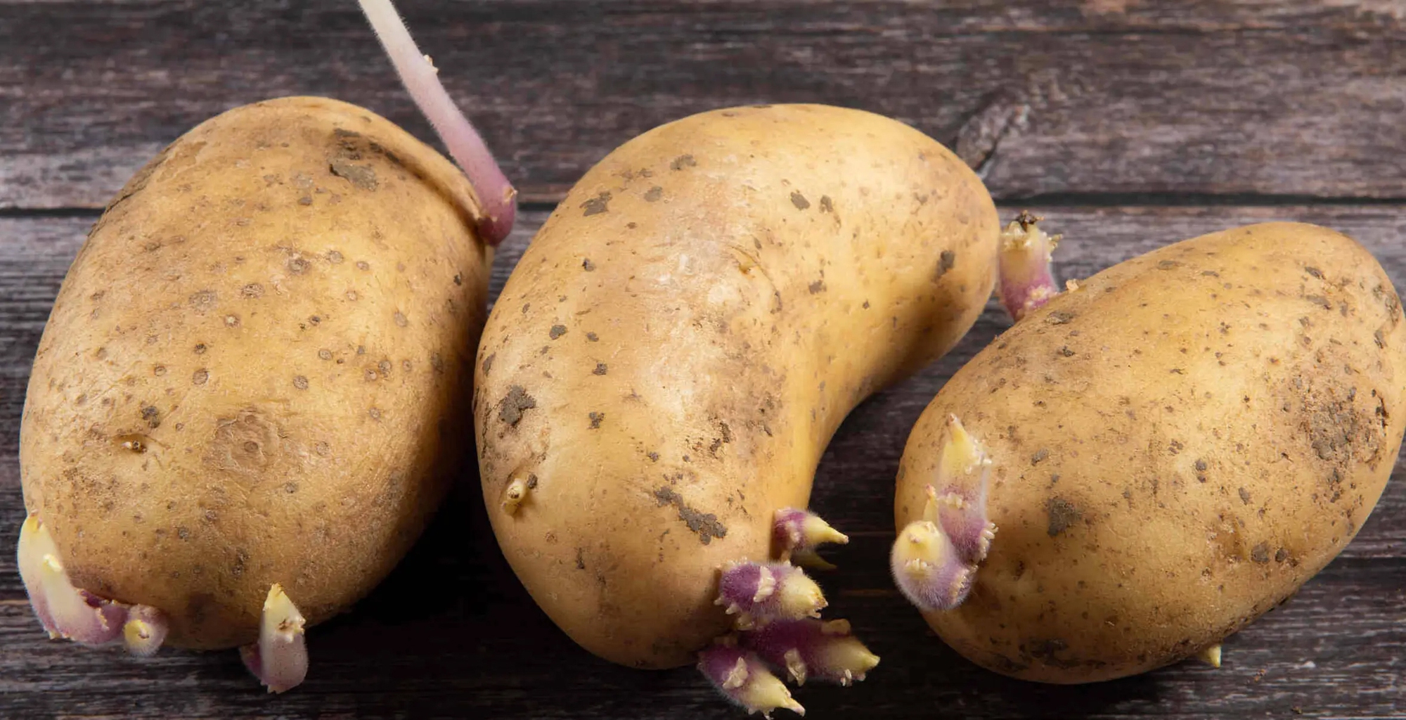 Sai lầm ai cũng mắc: Kh&ocirc;ng phải thức ăn thừa m&agrave; 5 loại thực phẩm n&agrave;y mới l&agrave; "kẻ giết người thầm lặng" trong bếp!- Ảnh 2.