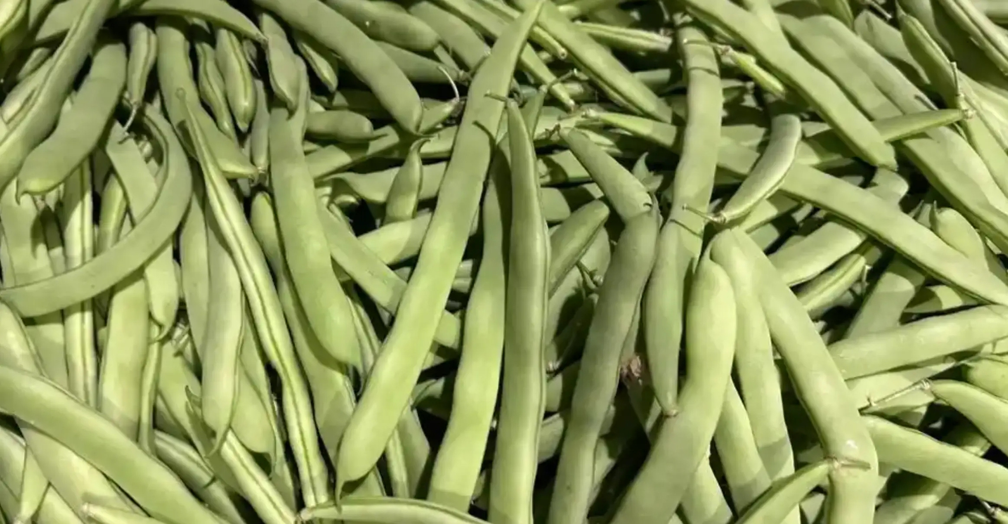 Sai lầm ai cũng mắc: Kh&ocirc;ng phải thức ăn thừa m&agrave; 5 loại thực phẩm n&agrave;y mới l&agrave; "kẻ giết người thầm lặng" trong bếp!- Ảnh 3.