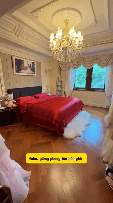 "Phú bà" sống trong biệt thự 185 tỷ: Lộng lẫy đến mức sang chấn thị giác, Google cạn từ khen- Ảnh 8. "Phú bà" sống trong biệt thự 185 tỷ: Lộng lẫy đến mức sang chấn thị giác, Google cạn từ khen- Ảnh 8.