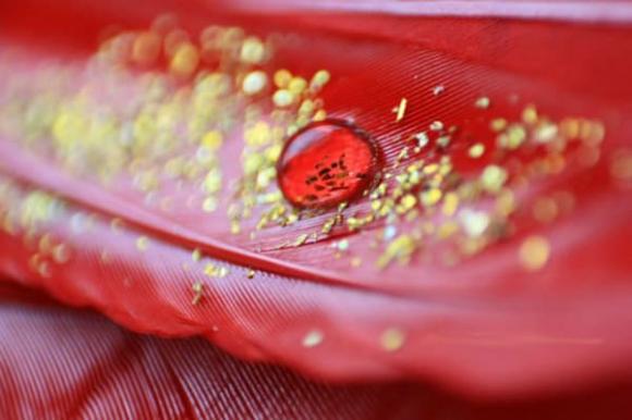 Nhóm máu 'quý hơn vàng', thế giới chỉ 50 người sở hữu- Ảnh 1. Nhóm máu 'quý hơn vàng', thế giới chỉ 50 người sở hữu- Ảnh 1.