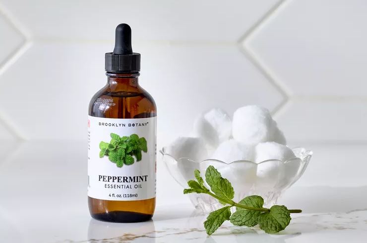 6 cách đuổi chuột tự nhiên tốt nhất, không cần đến hóa chất- Ảnh 1.