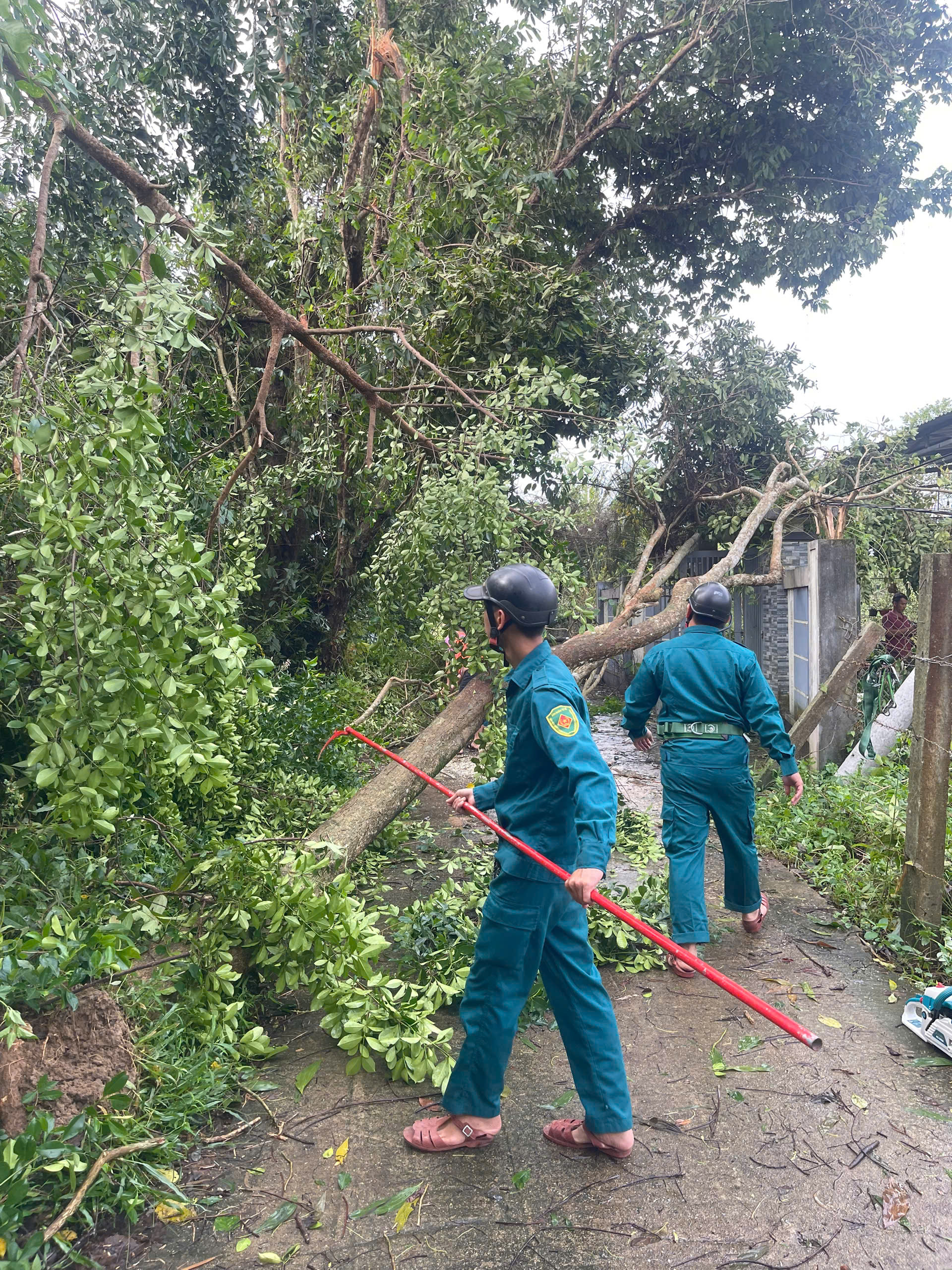 CLIP: Lốc xoáy kinh hoàng ở Đà Nẵng, 4 người bị thương- Ảnh 14. CLIP: Lốc xoáy kinh hoàng ở Đà Nẵng, 4 người bị thương- Ảnh 14.
