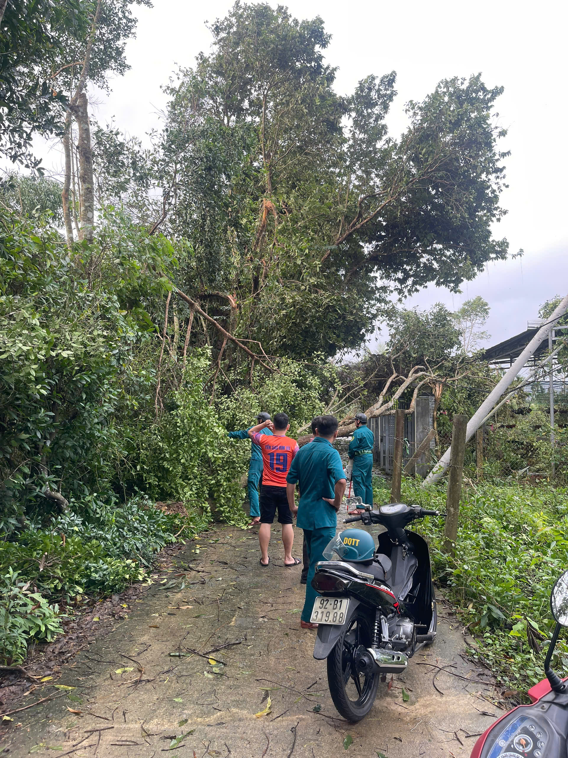 CLIP: Lốc xoáy kinh hoàng ở Đà Nẵng, 4 người bị thương- Ảnh 15. CLIP: Lốc xoáy kinh hoàng ở Đà Nẵng, 4 người bị thương- Ảnh 15.