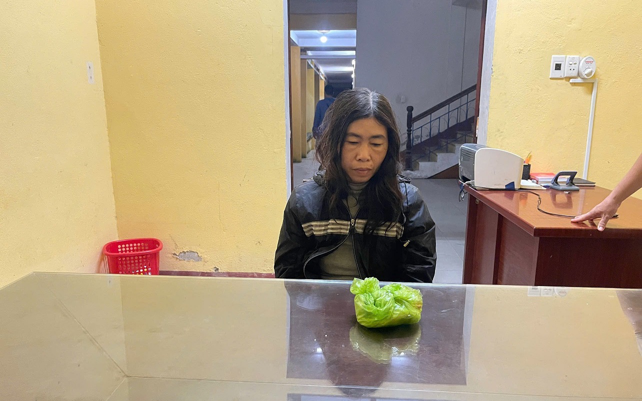 Bắt Trần Thị Minh Hà