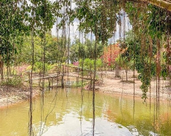 Nữ ca sĩ sở hữu 4 bất động sản triệu đô, 1 miệt vườn 20.000m² nuôi gà- Ảnh 9. Nữ ca sĩ sở hữu 4 bất động sản triệu đô, 1 miệt vườn 20.000m² nuôi gà- Ảnh 9.