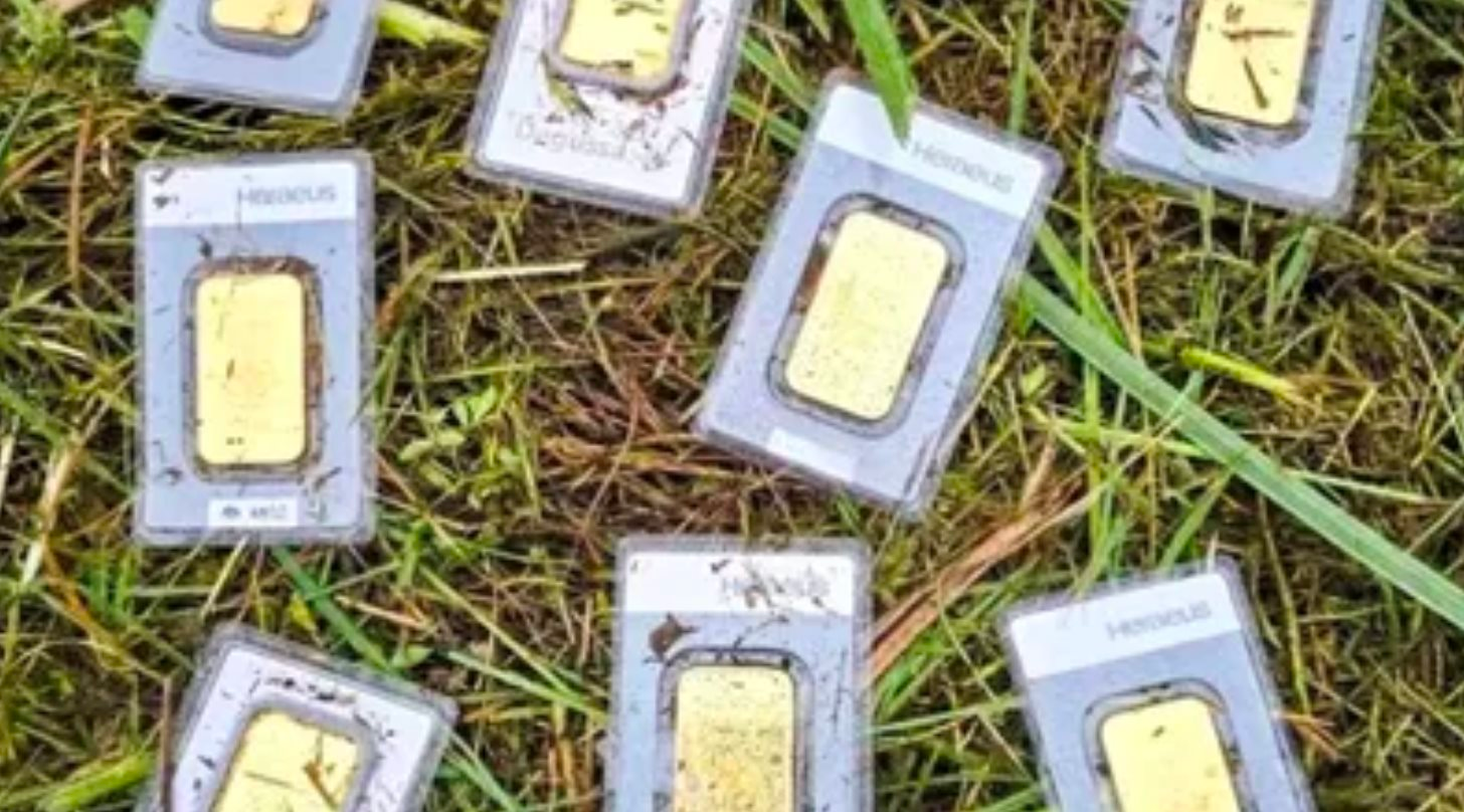 Phát hiện 10 thỏi vàng khi đang cắt cỏ, trị giá lên đến hơn 1 tỷ đồng - Ảnh 1.