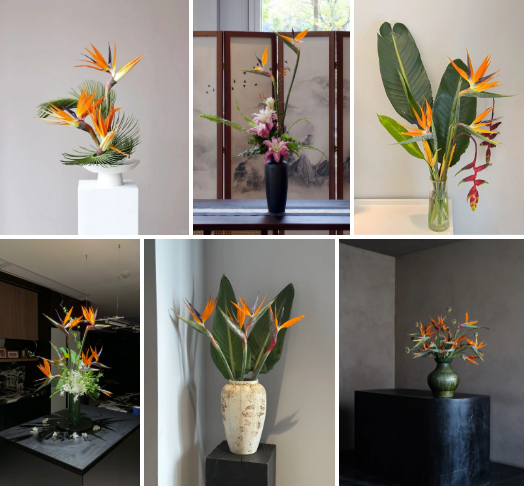 Hoa thiên điểu “đổ bộ” phòng khách ngày Tết: Nhìn là thấy giàu, cắm một lần là nghiện- Ảnh 5.