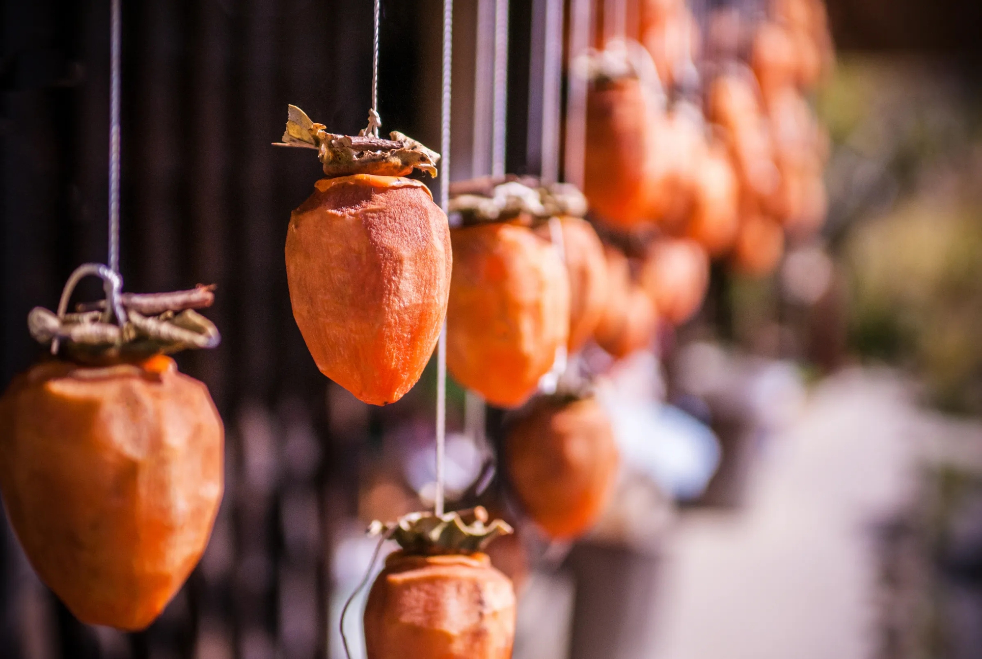 Loại cây tượng trưng cho thịnh vượng và may mắn: Trồng 1 cây trong nhà thêm được 10 lợi ích sức khỏe- Ảnh 5.