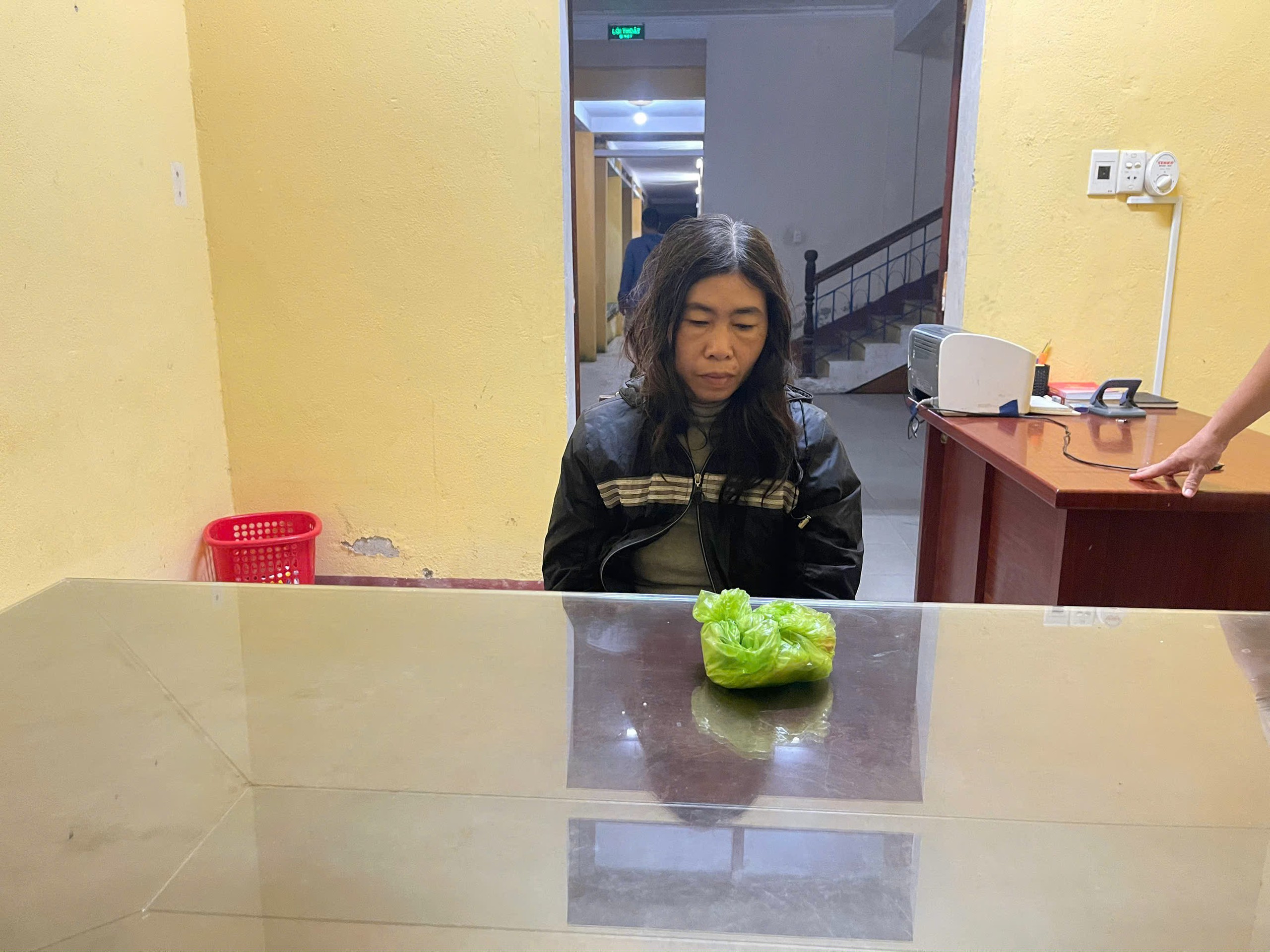 Bắt Trần Thị Minh Hà- Ảnh 1.