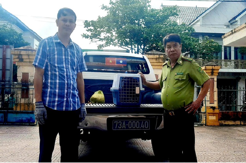 Thấy chim lạ bị thương đậu ở cột buồm ghe, người đ&agrave;n &ocirc;ng mang về chăm s&oacute;c - ho&aacute; ra l&agrave; lo&agrave;i qu&yacute; hiếm- Ảnh 1.