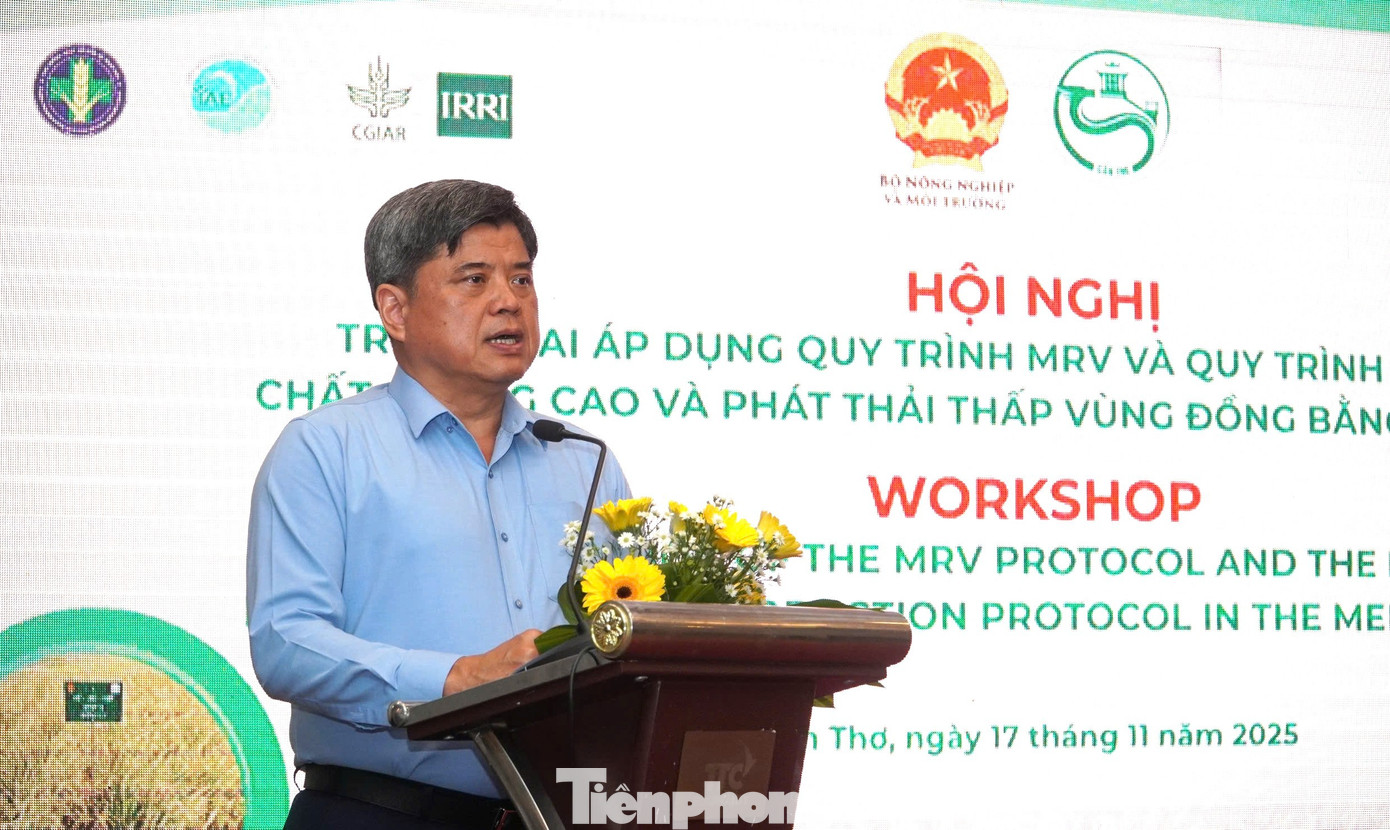 Sản xuất lúa phát thải thấp: Không đốt rơm, rạ gây ô nhiễm- Ảnh 8.