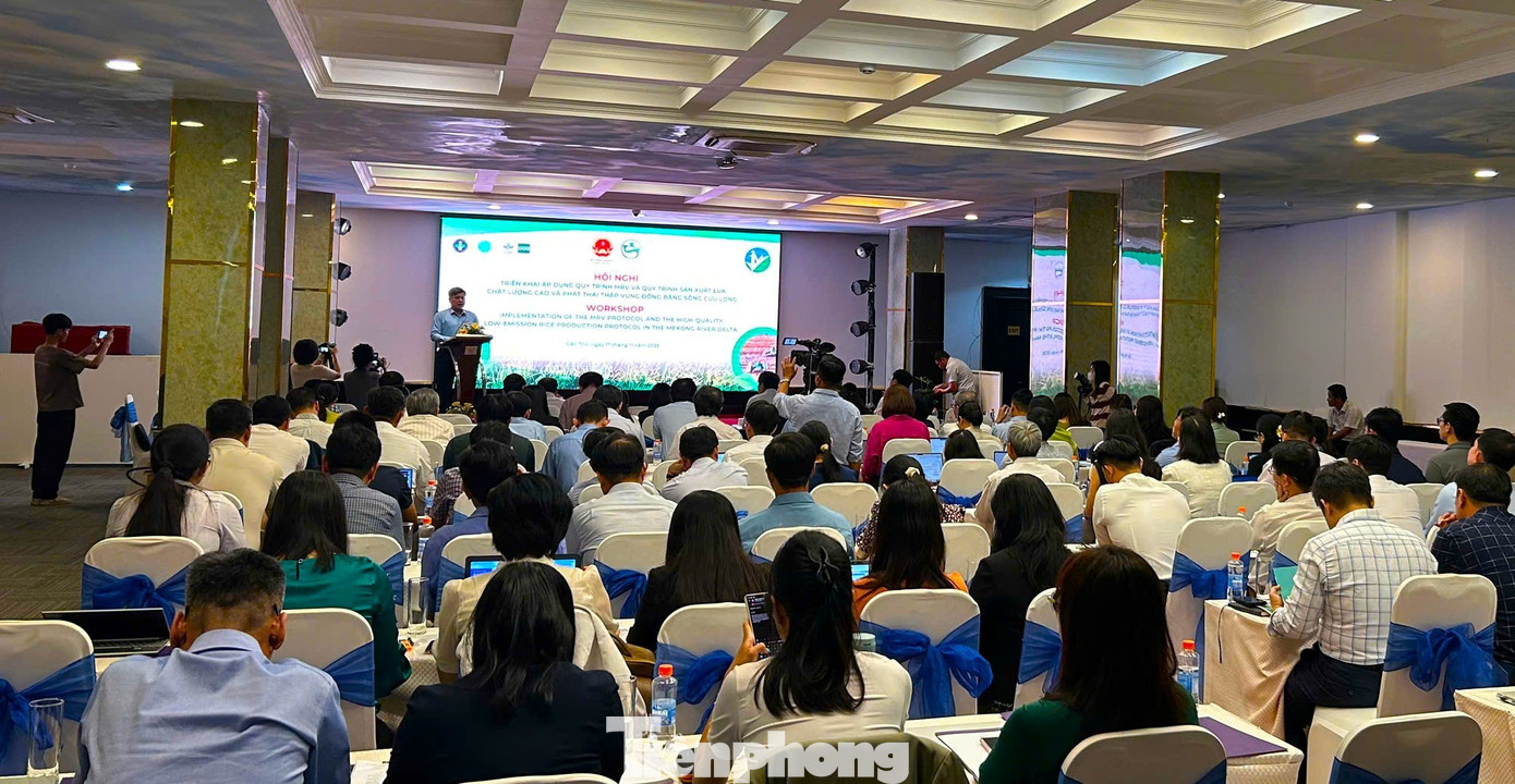 Sản xuất lúa phát thải thấp: Không đốt rơm, rạ gây ô nhiễm- Ảnh 6.