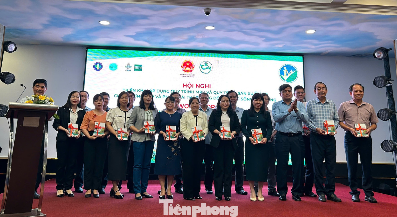 Sản xuất lúa phát thải thấp: Không đốt rơm, rạ gây ô nhiễm- Ảnh 7.