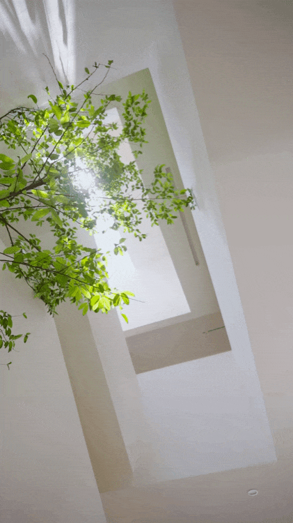 Ch&agrave;ng trai 30 tuổi bỏ phố về qu&ecirc;, x&acirc;y biệt thự 760 m2 cho bố mẹ dưỡng gi&agrave;: Kh&ocirc;ng cần kiếm đủ tiền mới chọn được c&aacute;ch sống- Ảnh 2.