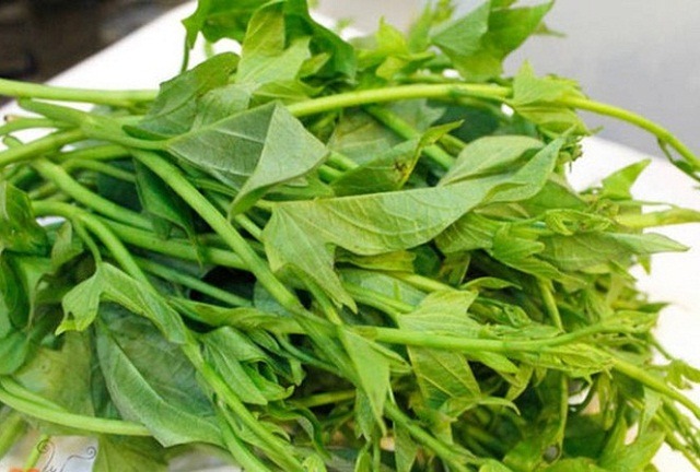 Ra chợ thấy 4 loại rau này, mạnh dạn nhắm mắt MUA LUÔN- Ảnh 3.