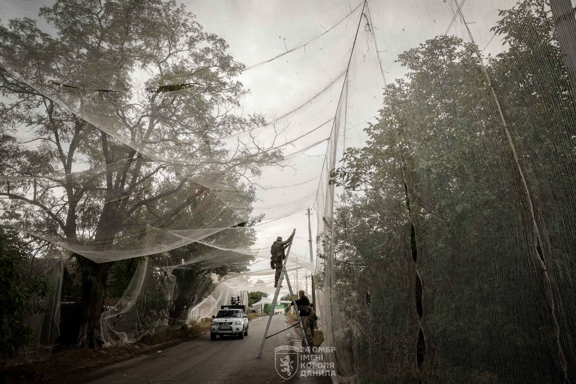 Giới quân sự Đài Loan (Trung Quốc) đang tìm mua số lượng lớn lưới và cọc tre: Chuyện gì đã xảy ra?- Ảnh 1.