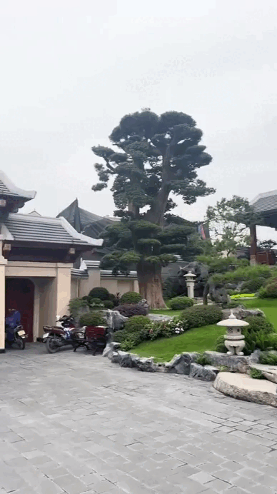 Cận cảnh siêu biệt phủ của trưởng thôn trẻ giàu nhất Việt Nam- Ảnh 4. Cận cảnh siêu biệt phủ của trưởng thôn trẻ giàu nhất Việt Nam- Ảnh 4.