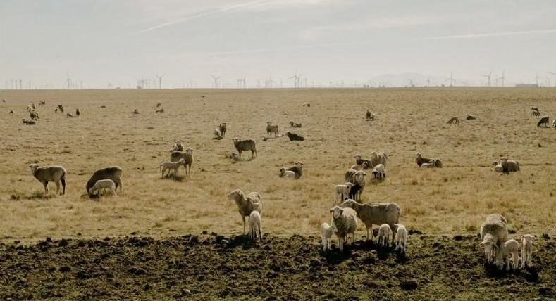 Một thành phố tại Mỹ sắp kiệt quệ vì hết đất phát triển, kinh tế trì trệ chưa từng có- Ảnh 3.