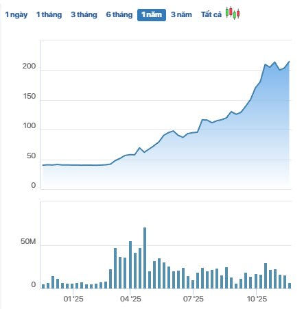 Vingroup: Nhóm cổ đông đặc biệt xuất hiện nắm 58% vốn- Ảnh 3.